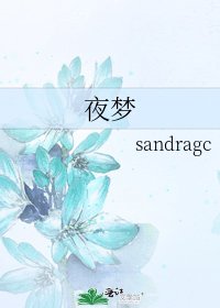 夜梦